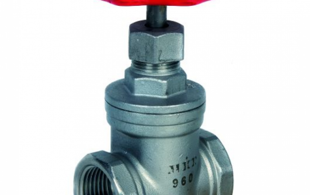 stainless-steel-gate-valve-supplier procurment (1)